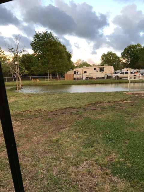 Park grounds at Lazy D